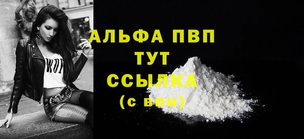 шишки Баксан