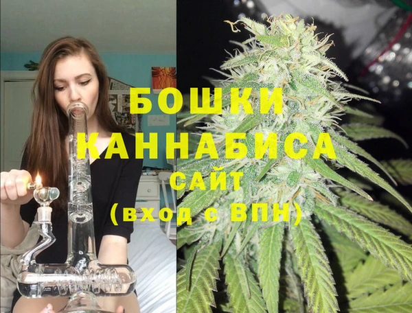 шишки Баксан