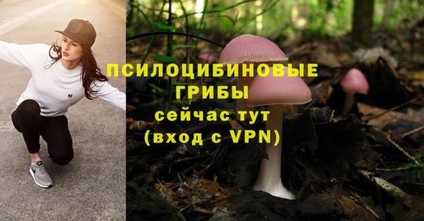 Альфа ПВП Балахна