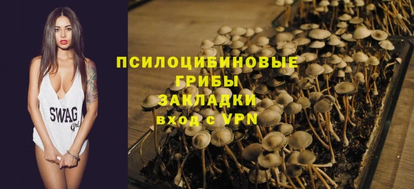 шишки Баксан
