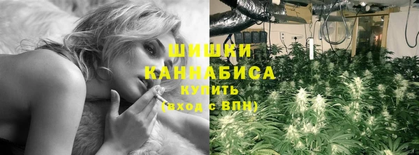 шишки Баксан
