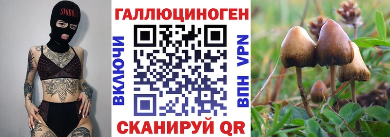 Галлюциногенные грибы ЛСД  Клинцы 