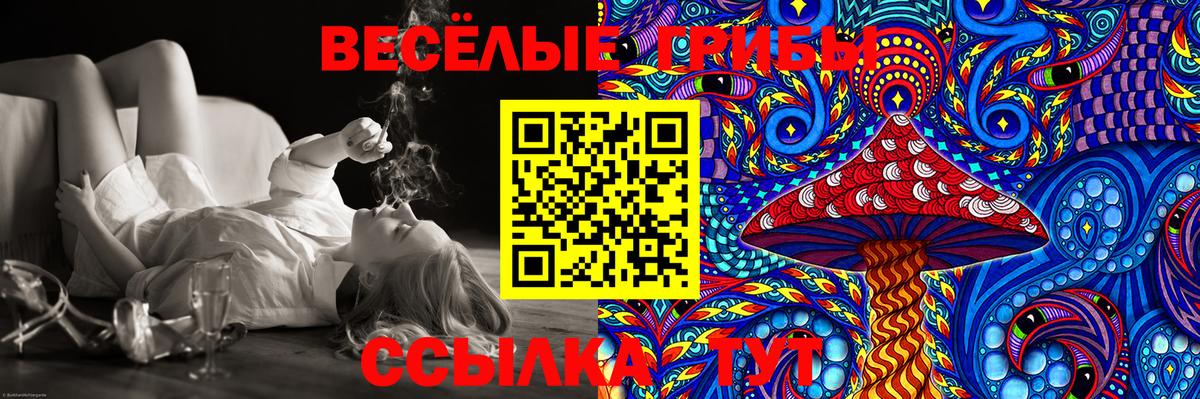 Псилоцибиновые грибы GOLDEN TEACHER  Псилоцибиновые грибы Cubensis  Клинцы  Вход с VPN 