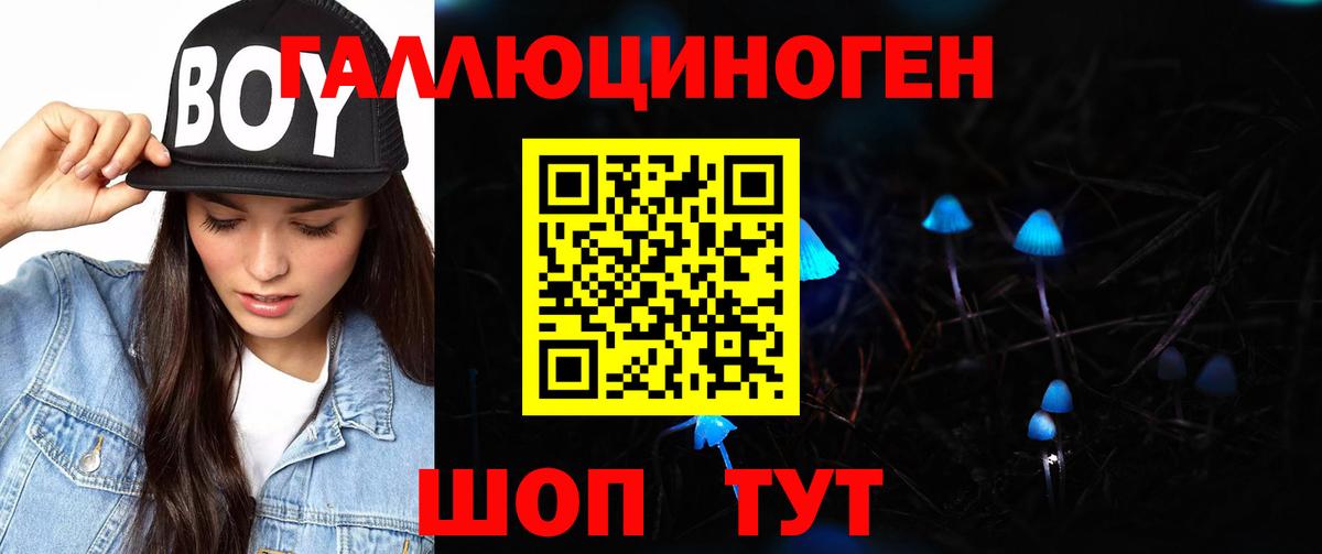 Псилоцибиновые грибы GOLDEN TEACHER Клинцы